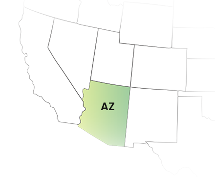 Arizona 1099 State Filing Made Simple and Stress-Free