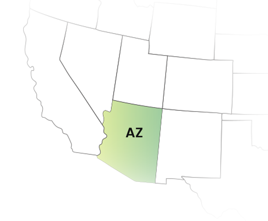 Arizona 1099 State Filing Made Simple and Stress-Free