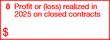 Box 8: Profit or (Loss) Realized in 2024 on Closed Contracts