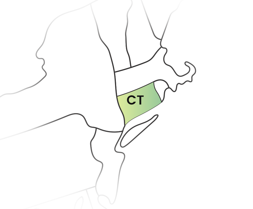 E-File Your Connecticut 1099 Forms With Ease