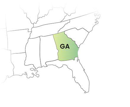 Simplify Your 1099 Georgia State Filing – Fast, Accurate, and Secure for the Tax year 2025.
