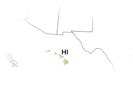 E-File your Hawaii 1099 state filings for the 2025 Tax Year.