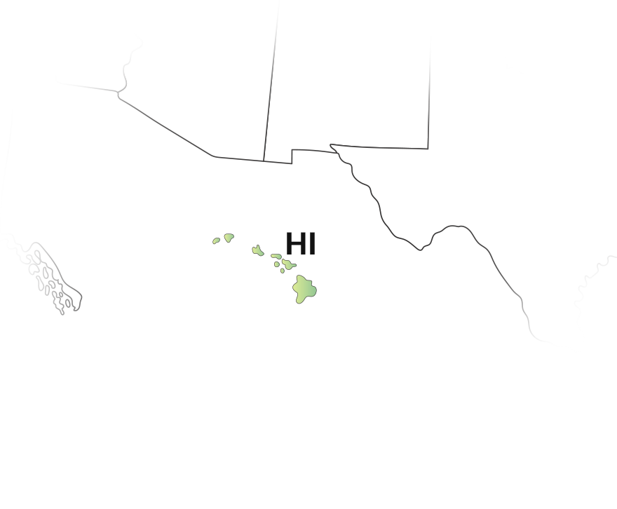 E-File your Hawaii 1099 state filings for the 2025 Tax Year. 