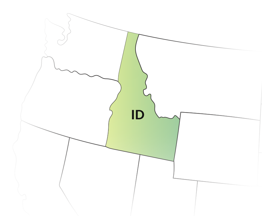 Idaho 1099 State Filing Makes Ease and hassle-free