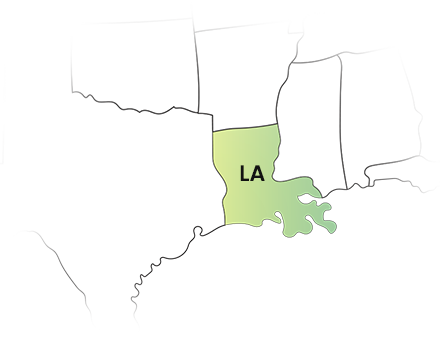 File your Louisiana 1099 forms with Easy and Hassle-free