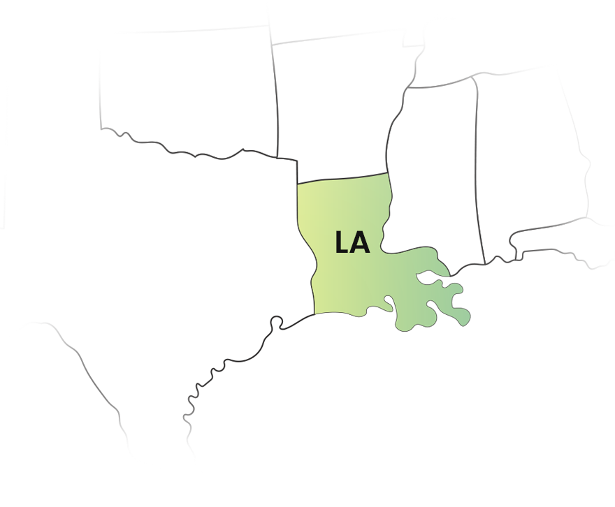 File your Louisiana 1099 forms with Easy and Hassle-free