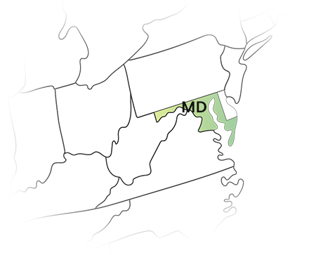 Simplify your Maryland 1099 state filing with Ease.