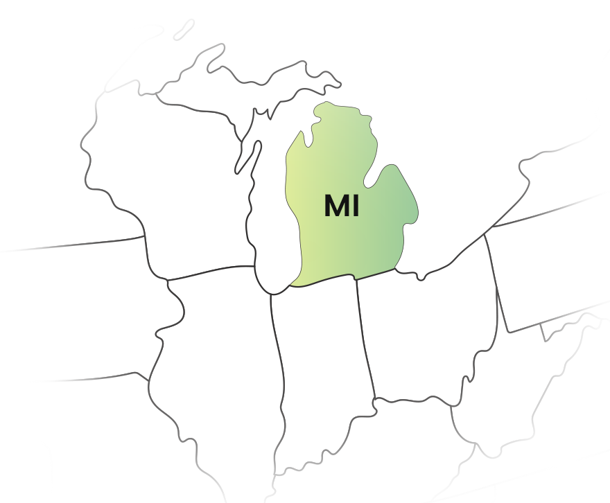 Affordable Michigan 1099 Filing for 2025
