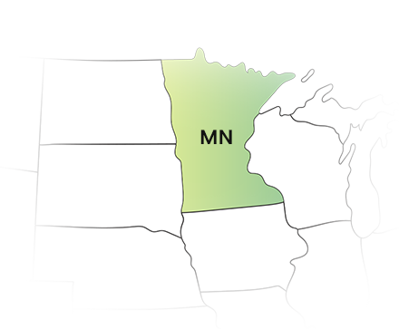 E-File Your 1099 Forms for Minnesota with Ease