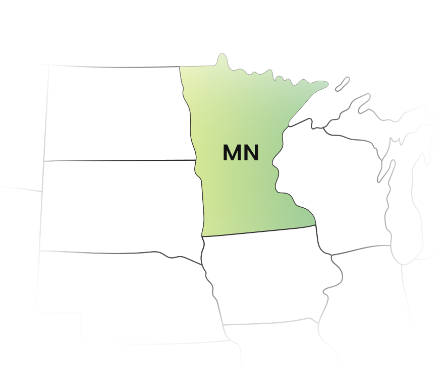 E-File Your 1099 Forms for Minnesota with Ease 