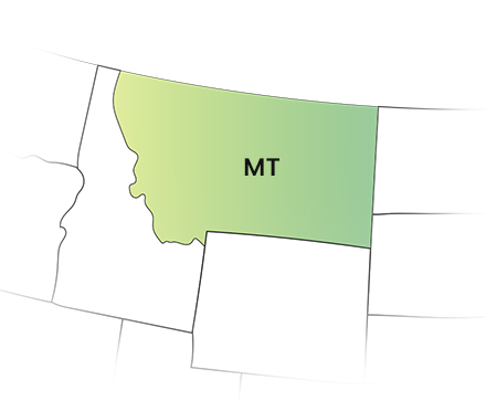 E-File your Montana 1099 forms for Tax year 2025