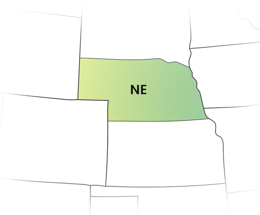E-File Your  Nebraska 1099 Forms with Ease and Safe.