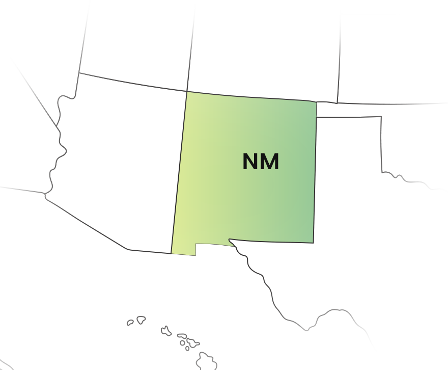 E-File Your New Mexico 1099 Forms With Ease