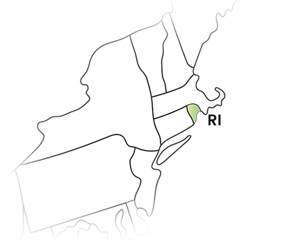 E-File Your 1099 State Filings for Rhode Island with Ease