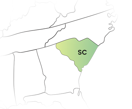 Simplify Your 1099 E-Filing in South Carolina