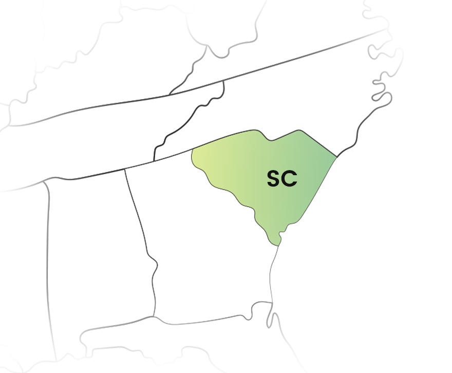 Simplify Your 1099 E-Filing in South Carolina