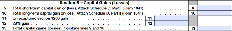 Section B: Capital Gains (Losses)