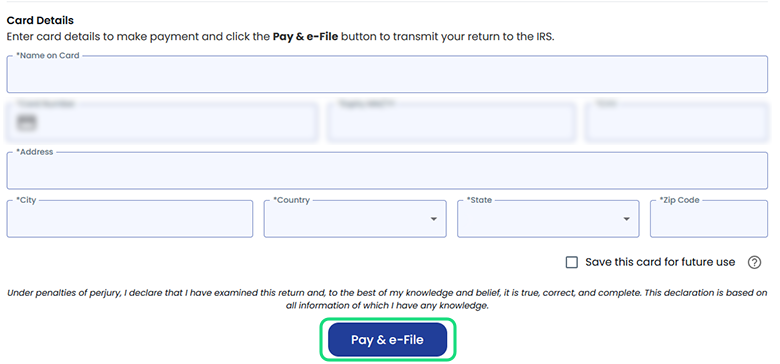 Enter your card details and click “Pay & e-File”
