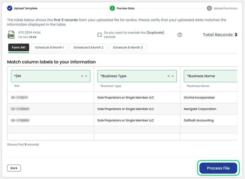 Then, click on “Process File” to process the data.