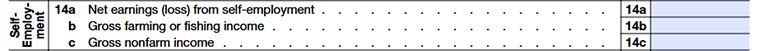 Line 14 — Self-Employment Income 