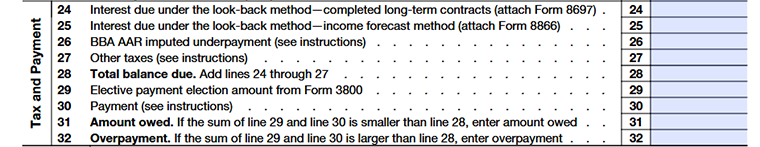 Tax and Payments Section (Lines 24–32)