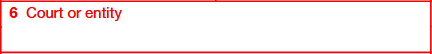 Box 6. Court or Entity