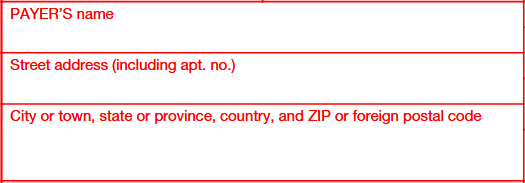 Step 2: Enter the Payer’s details
