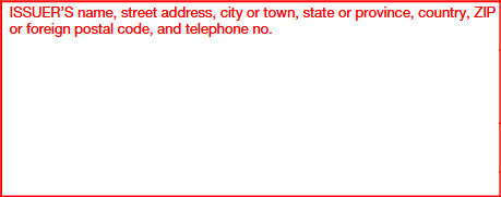 Step 1: Enter the Issuer’s Details