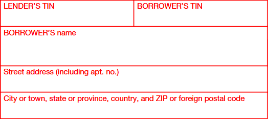 Form 1099-A- Borrower's details