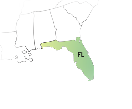 Florida 1099 State Filing Made Simple and Stress-Free