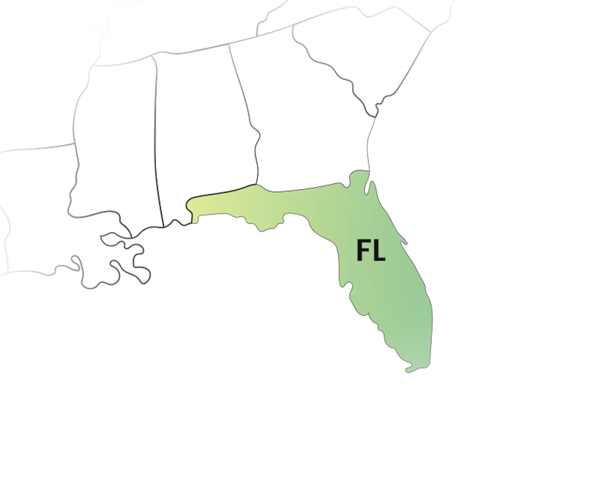 Florida 1099 State Filing Made Simple and Stress-Free