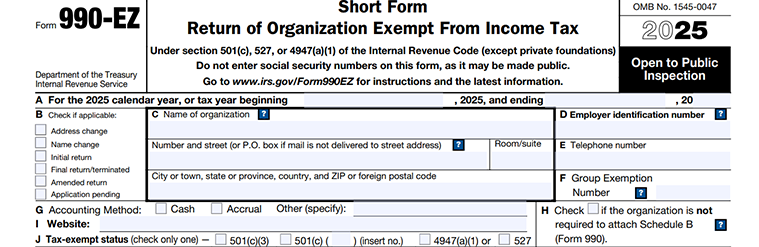 Form 990-EZ Instructions - How to fill out?