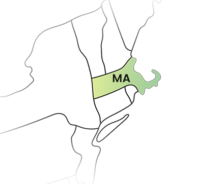 Massachusetts State Filing Requirements