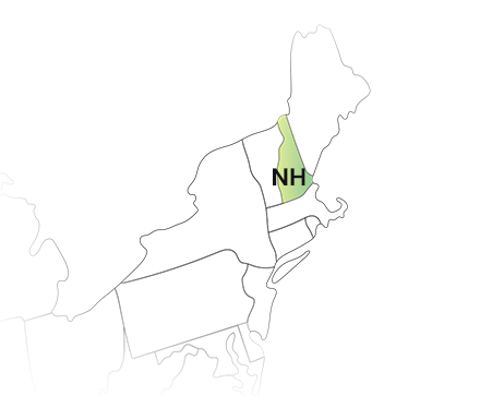 New Hampshire State Filing Requirements