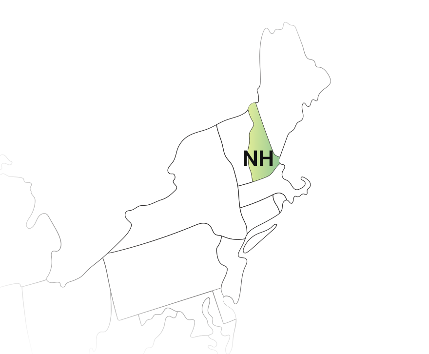 New Hampshire State Filing Requirements