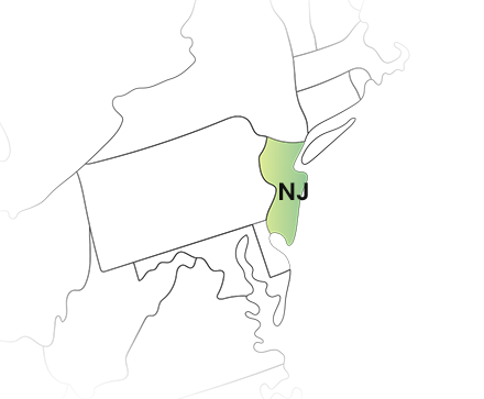 New Jersey State Filing Requirements