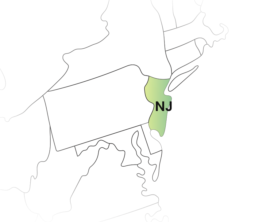 New Jersey State Filing Requirements