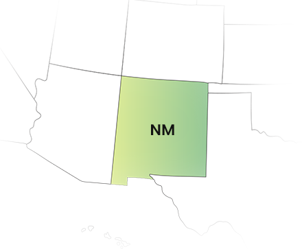 New Mexico State Filing Requirements