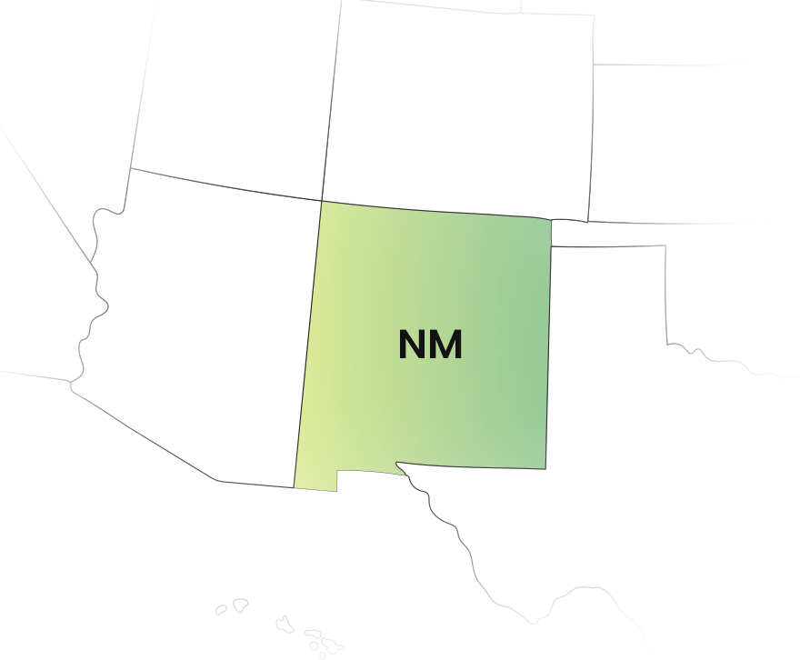 New Mexico State Filing Requirements