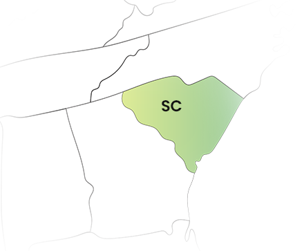 South Carolina State Filing Requirements