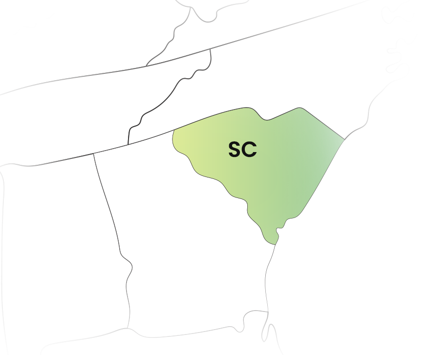South Carolina State Filing Requirements