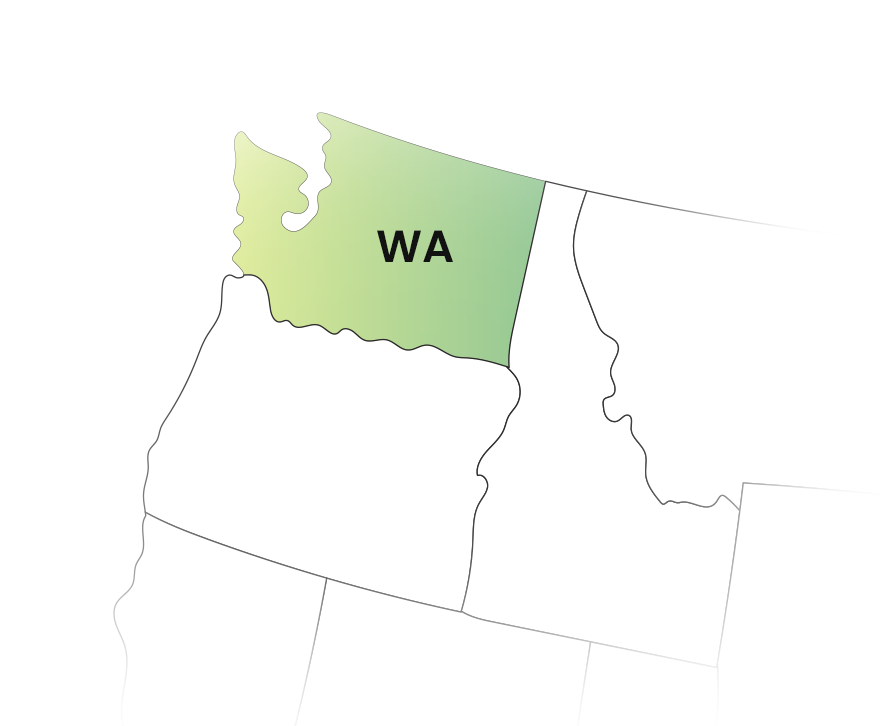 Washington State Filing Requirements