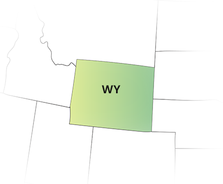 Wyoming 1099 State E-Filing with TaxZerone